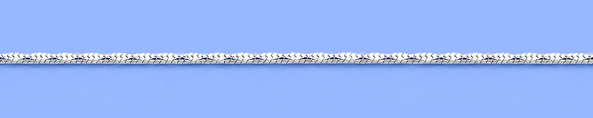 Silver Diamond Cut Snake Anklet