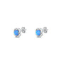 Silver Stud Earrings