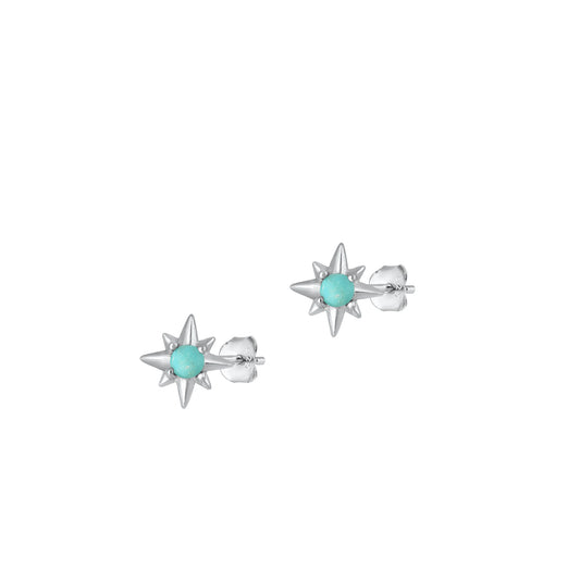 Silver Stone Earring - Twinkle Star