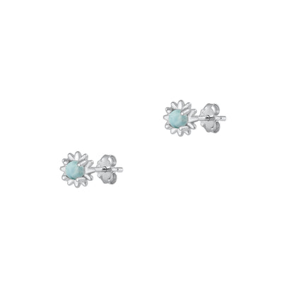Silver Stone Earrings
