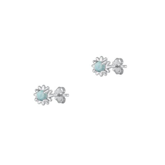 Silver Stone Earrings