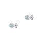 Silver Stone Earrings