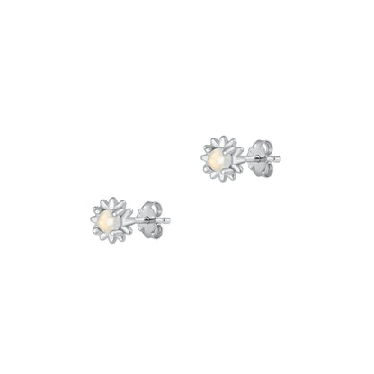 Silver Stone Earrings