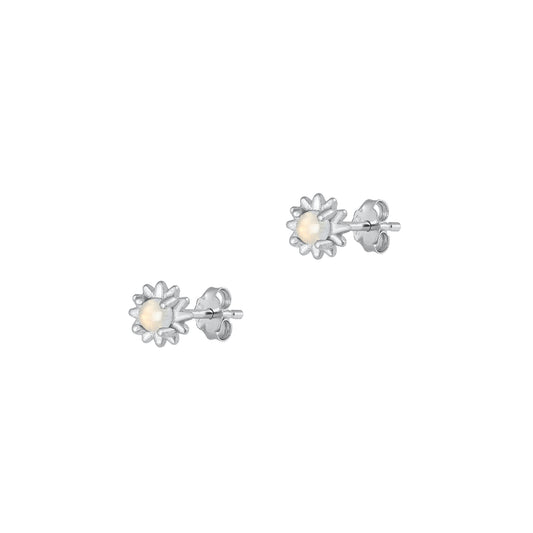 Silver Stone Earrings