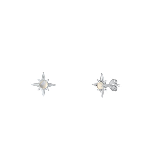 Silver Stone Earrings - Star