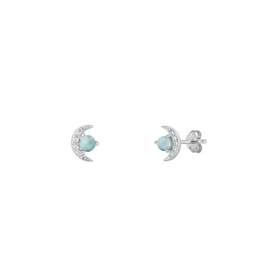 Silver Stone Earrings - Moon
