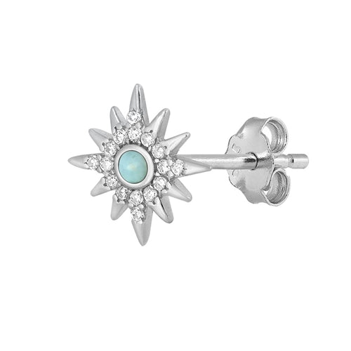 Silver Stone Earrings - Star