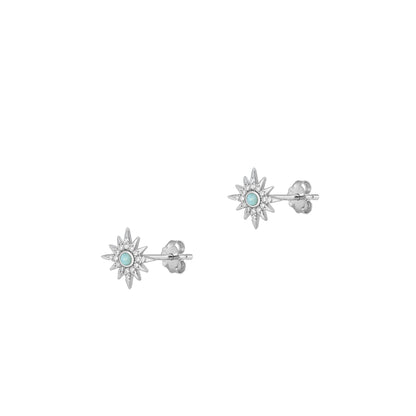 Silver Stone Earrings - Star