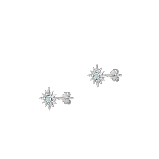 Silver Stone Earrings - Star