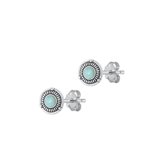 Silver Stone Earrings