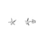 Silver Stud Earrings - Starfish