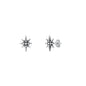 Silver Stud Earrings - Star