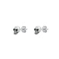 Silver Stud Earrings - Skull