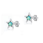 Silver Stone Earrings - Star