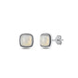 Silver Stone Earring