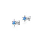 Silver Lab Opal Earrings - Star of David
