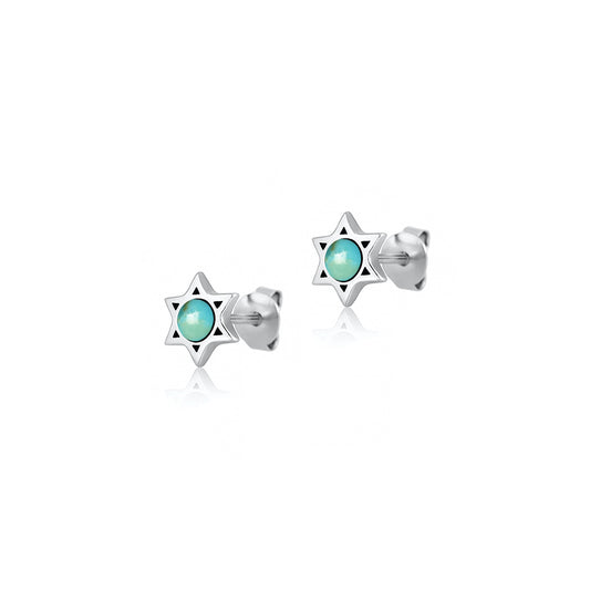 Silver Stone Earrings - Star of David