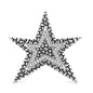 Silver CZ Stae Pendant