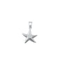 Silver Pendant - Starfish