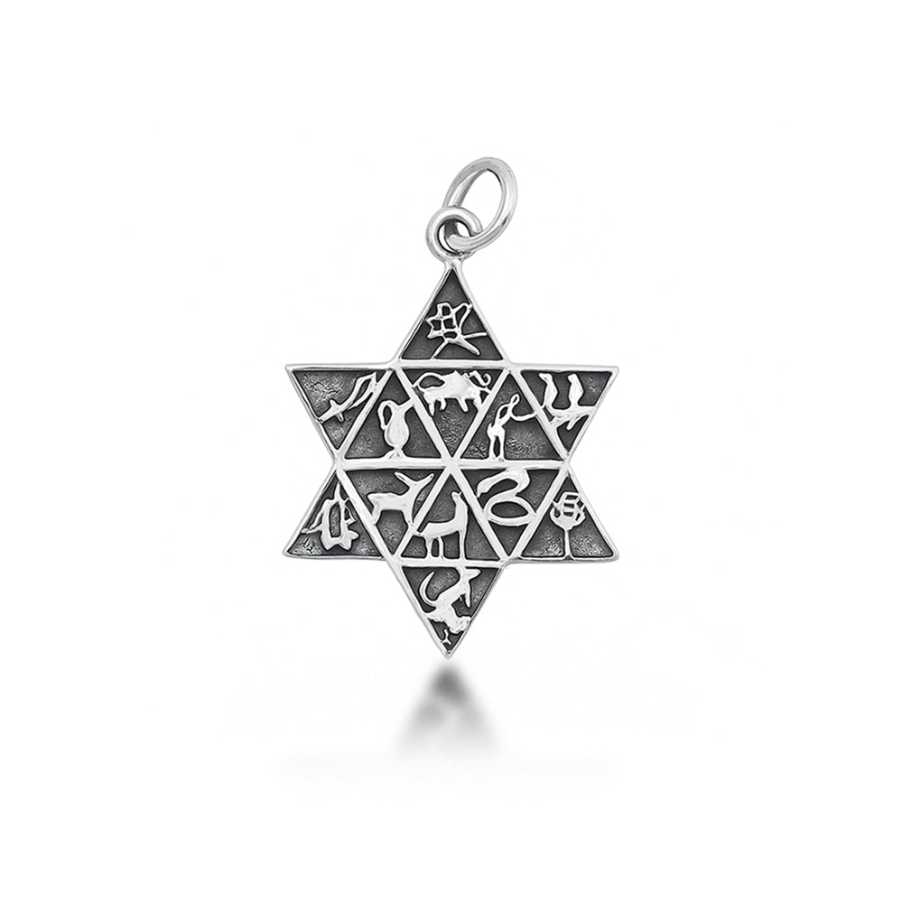 Silver Pendant - Tribes of Israel & Star of David