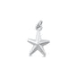 Silver Pendant - Star