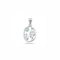 Silver Stone Pendant - Cactus