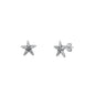 Silver Stud Earrings - Starfish